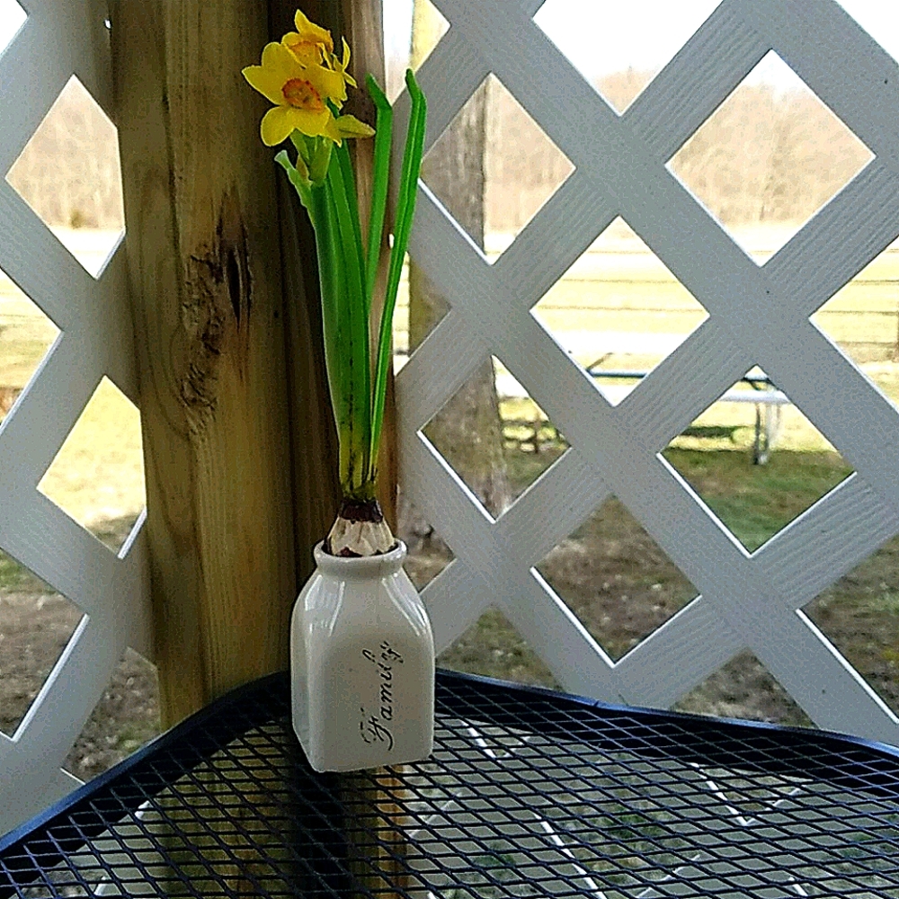 Spring Flower & Vase